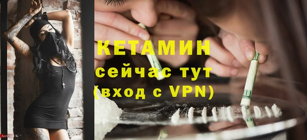 сатива Баксан