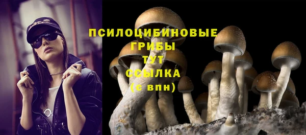 Альфа ПВП Балахна