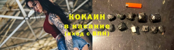 сатива Баксан