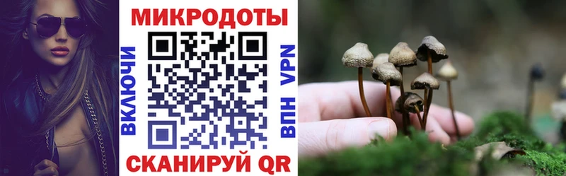 OMG маркетплейс  Георгиевск  Псилоцибиновые грибы Magic Shrooms 